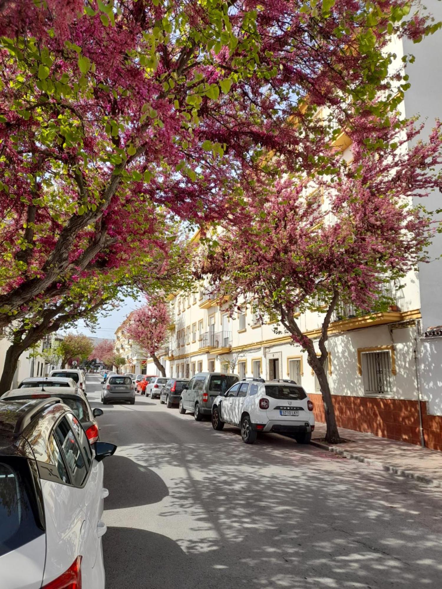 Solimar Apartment